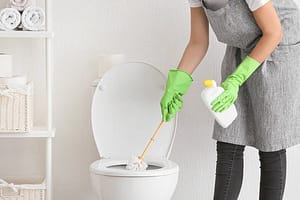 step to Clean toilet