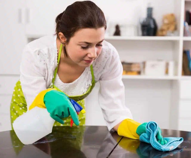 cleaning maid services