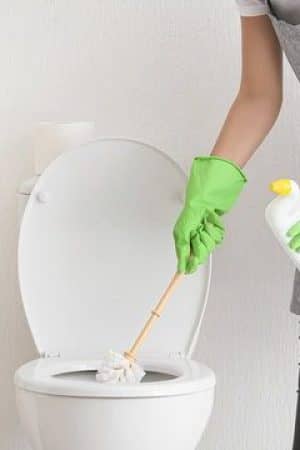 step to Clean toilet